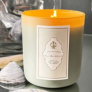 Lodestone Candles Sea Buckthorn candle with watery, salt, and fresh top notes, floral jasmine and peony heart, and a musky base of seamoss and ambergris.