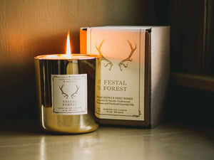 Festal Forest | 13 oz., 90 hour | Gold Glass - Lodestone Candles of Kent & Co.